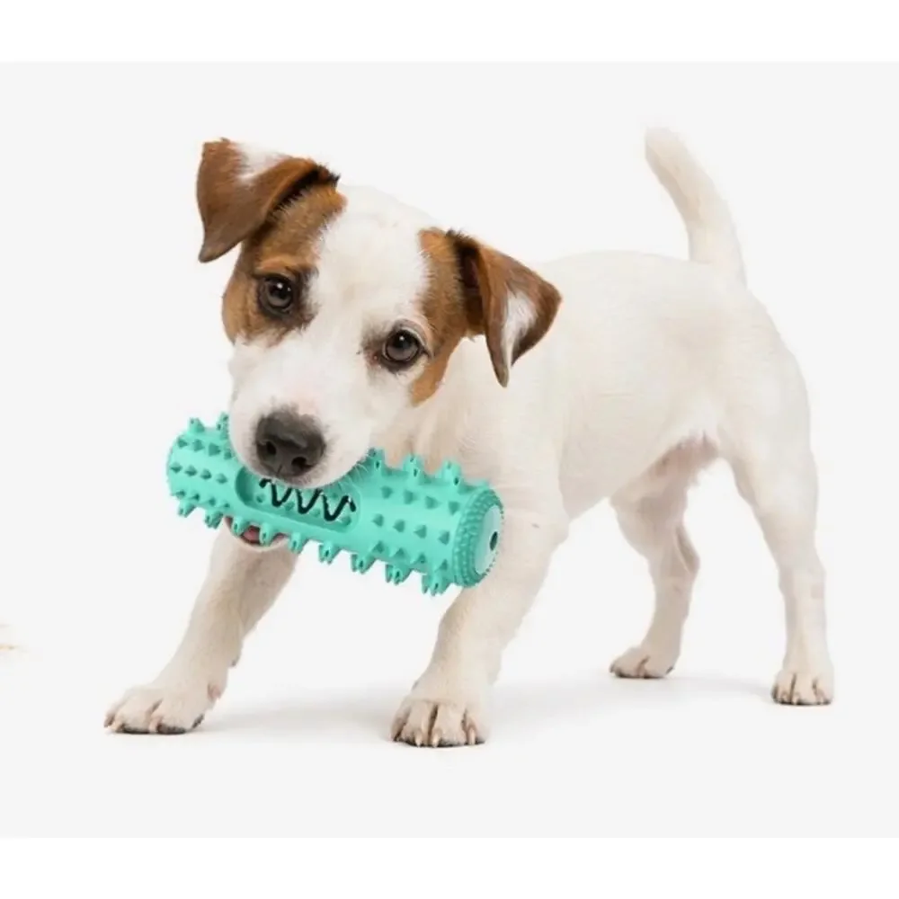 Squeaky chew stick dog toothbrush for dogs medium & Large toy TPR durable